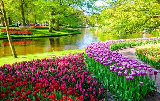 Keukenhof 