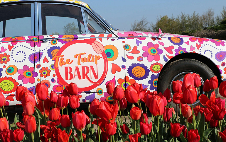 The Tulip Barn 