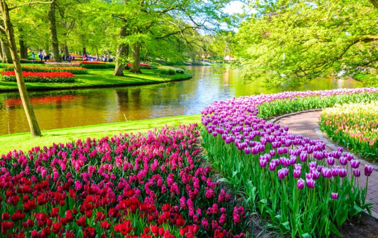 Keukenhof 