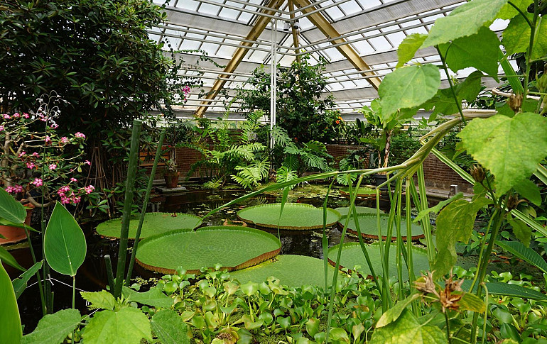 Hortus Botanicus Leiden