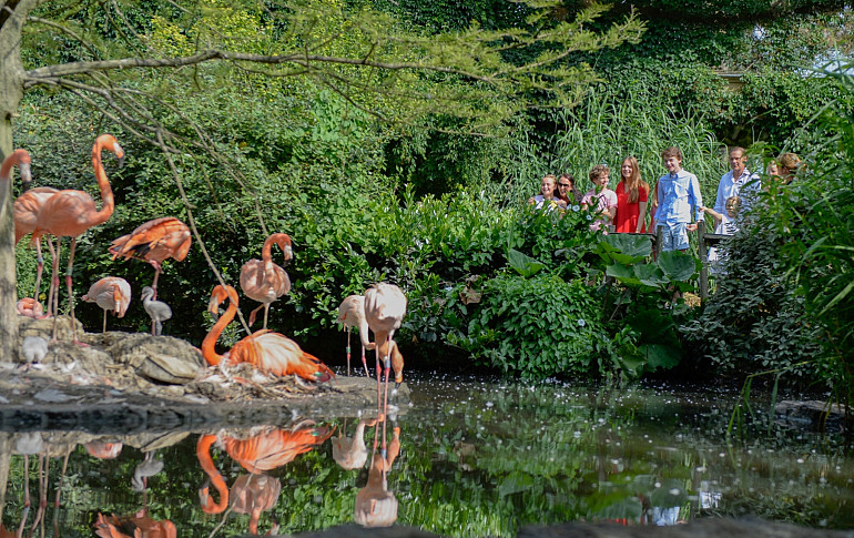 Vogelpark Avifauna